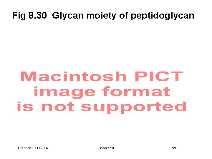 Fig 8. 30 Glycan moiety of peptidoglycan Prentice Hall c 2002 Chapter 8 59