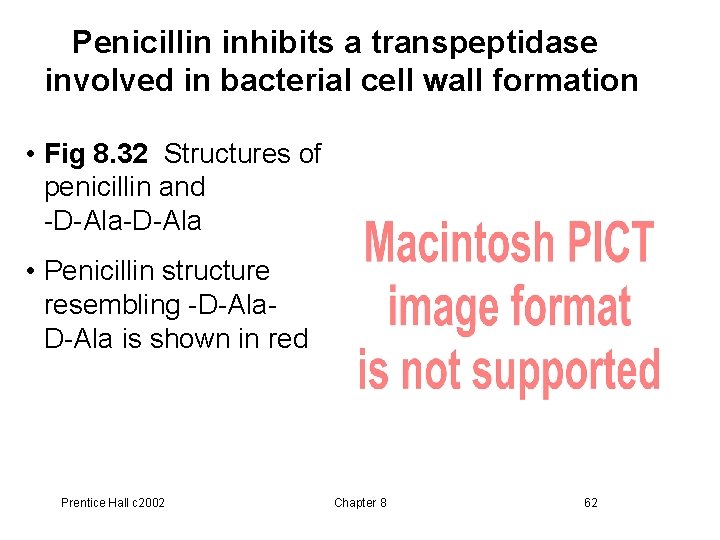 Penicillin inhibits a transpeptidase involved in bacterial cell wall formation • Fig 8. 32