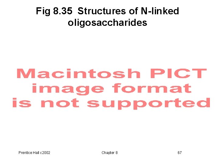 Fig 8. 35 Structures of N-linked oligosaccharides Prentice Hall c 2002 Chapter 8 67