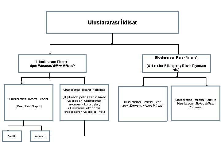 Uluslararası İktisat Uluslararası Para (Finans) Uluslararası Ticaret Açık Ekonomi Mikro İktisadı (Ödemeler Bilançosu, Döviz