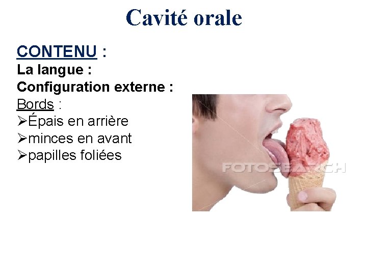 Cavité orale CONTENU : La langue : Configuration externe : Bords : ØÉpais en