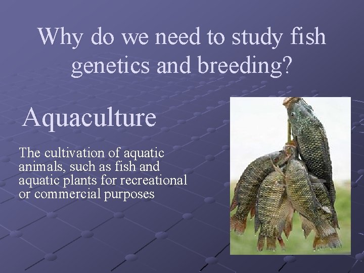 Why do we need to study fish genetics and breeding? Aquaculture The cultivation of