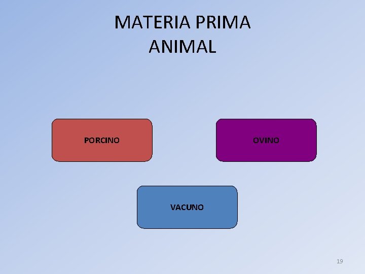 MATERIA PRIMA ANIMAL PORCINO OVINO VACUNO 19 