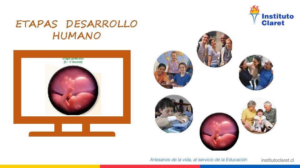 ETAPAS DESARROLLO HUMANO 