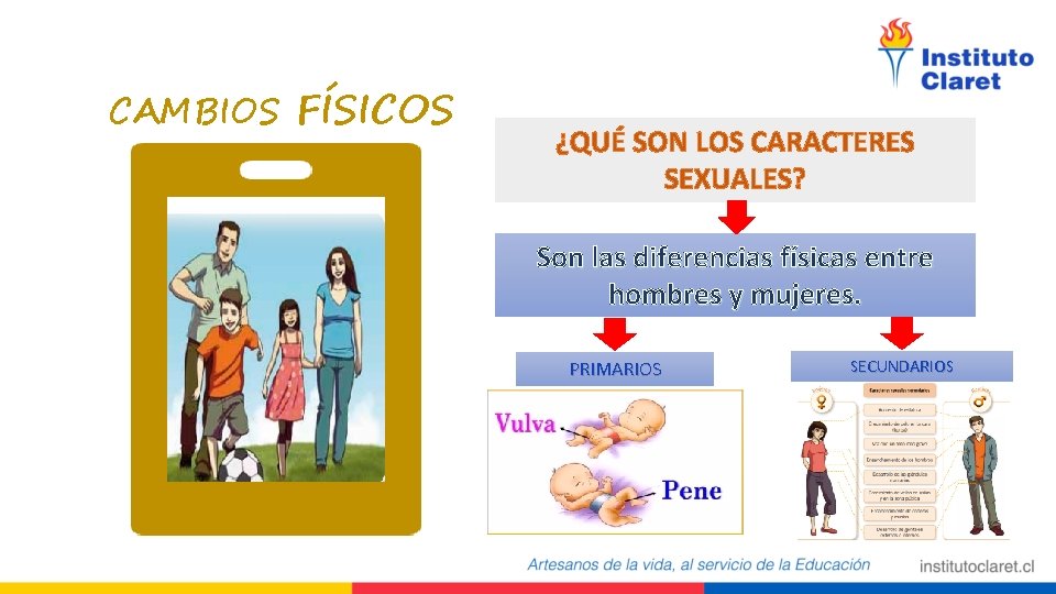 CAMBIOS FÍSICOS ¿QUÉ SON LOS CARACTERES SEXUALES? Son las diferencias físicas entre hombres y