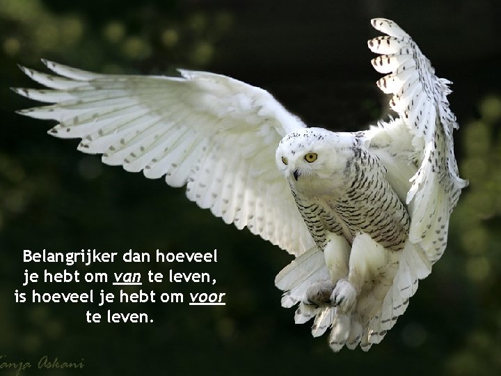 Belangrijker dan hoeveel je hebt om van te leven, is hoeveel je hebt om