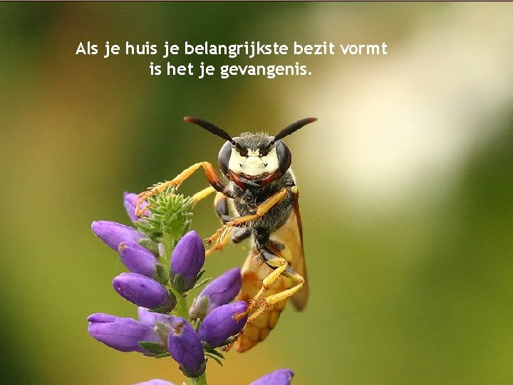 Als je huis je belangrijkste bezit vormt is het je gevangenis. 