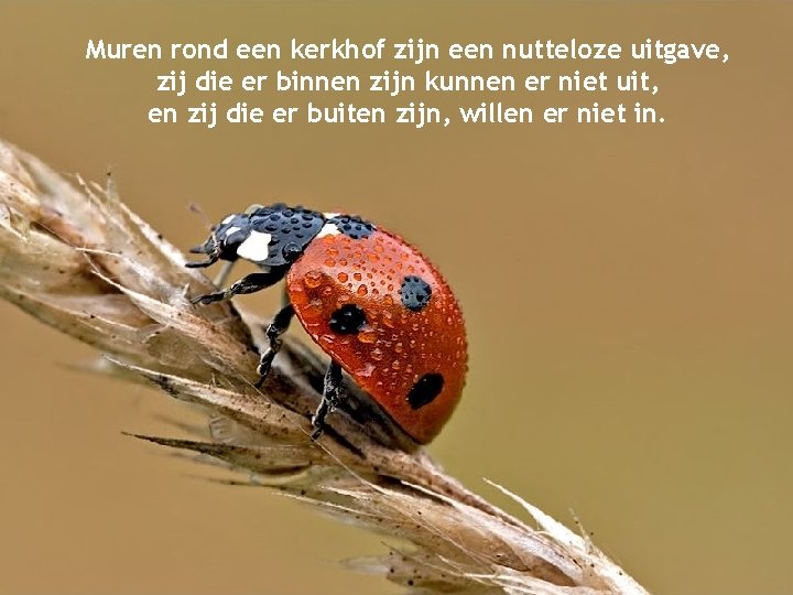 Muren rond een kerkhof zijn een nutteloze uitgave, zij die er binnen zijn kunnen