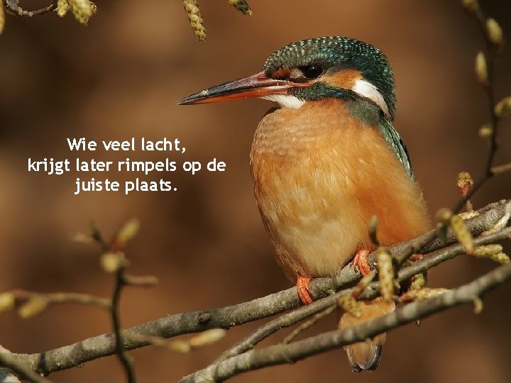 Wie veel lacht, krijgt later rimpels op de juiste plaats. 