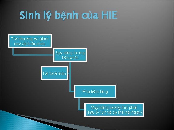 Sinh lý bệnh của HIE Tổn thương do giảm oxy và thiếu máu Suy