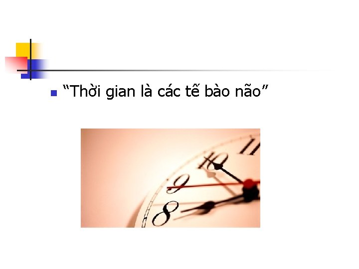 n “Thời gian là các tế bào não” 