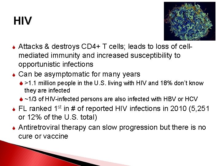 HIV Attacks & destroys CD 4+ T cells; leads to loss of cellmediated immunity