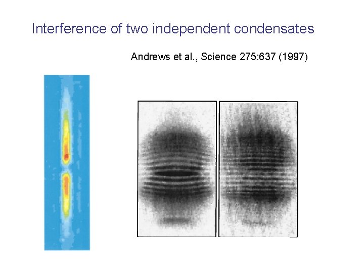 Interference of two independent condensates Andrews et al. , Science 275: 637 (1997) 
