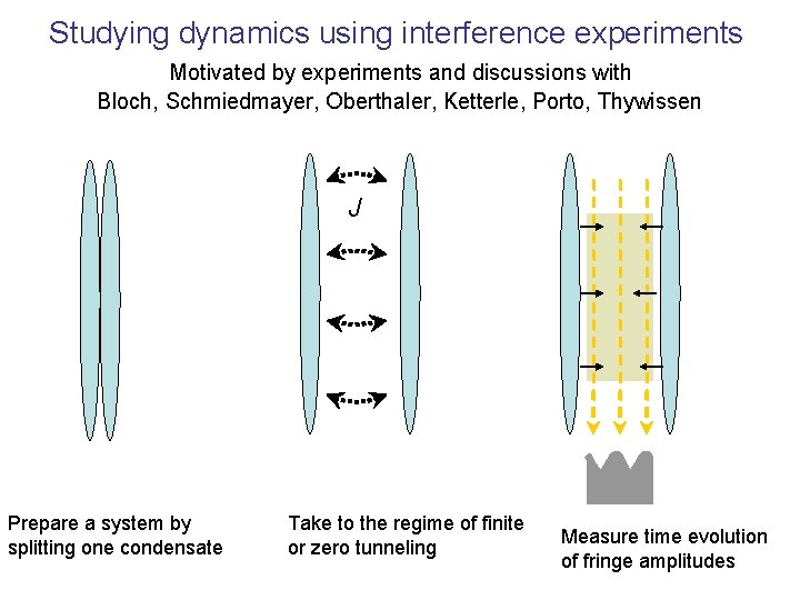 Studying dynamics using interference experiments Motivated by experiments and discussions with Bloch, Schmiedmayer, Oberthaler,