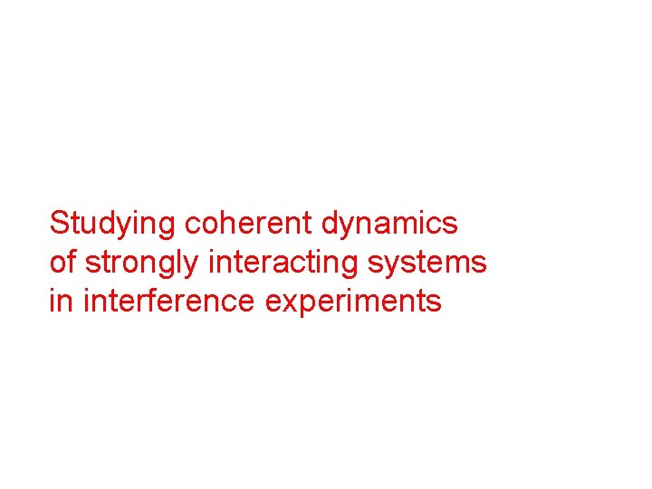 Studying coherent dynamics of strongly interacting systems in interference experiments 