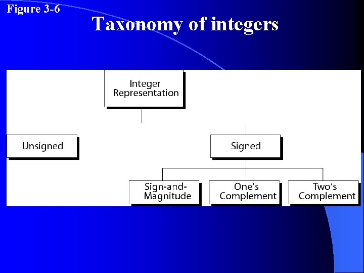 Figure 3 -6 Taxonomy of integers 