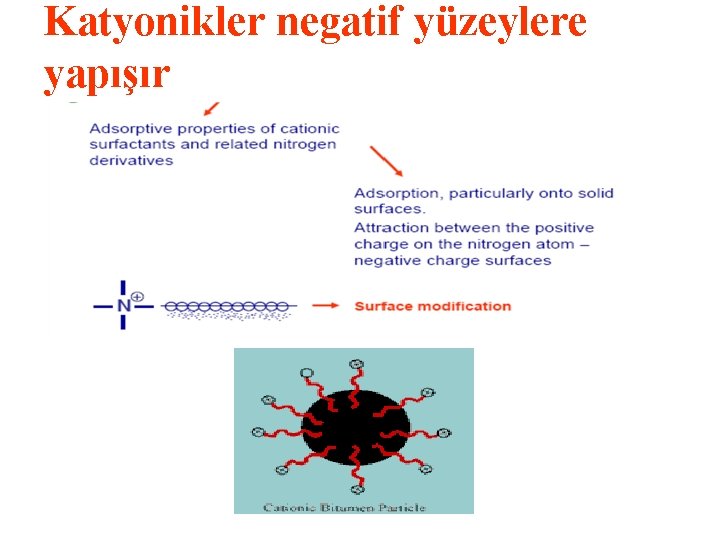 Katyonikler negatif yüzeylere yapışır 