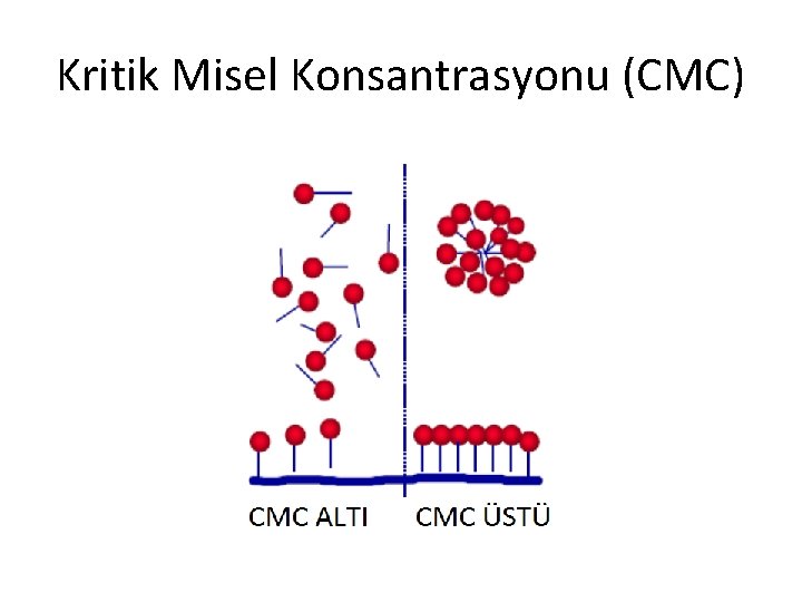 Kritik Misel Konsantrasyonu (CMC) 