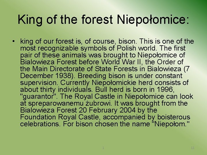 King of the forest Niepołomice: • king of our forest is, of course, bison.
