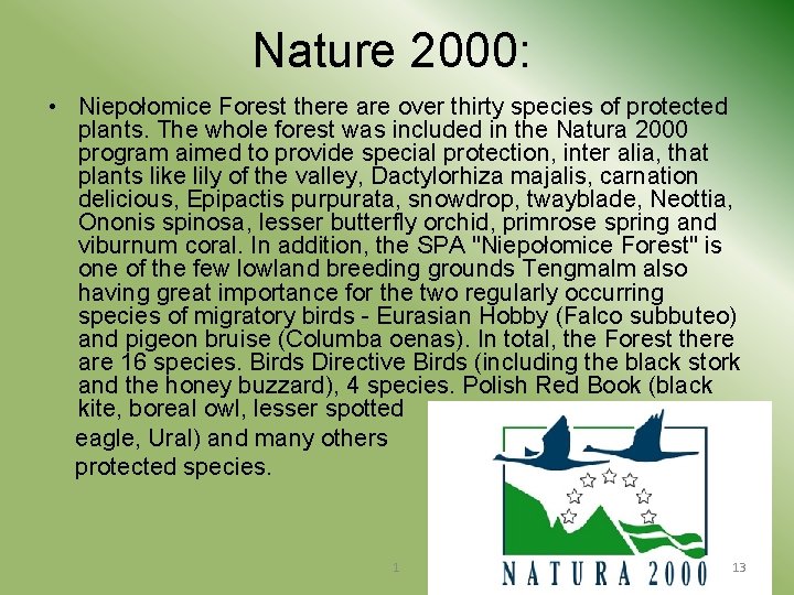 Nature 2000: • Niepołomice Forest there are over thirty species of protected plants. The