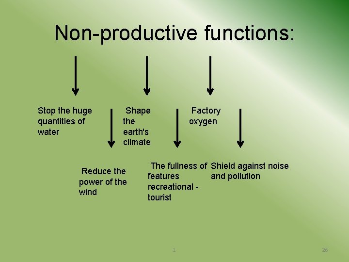 Non-productive functions: Stop the huge quantities of water Shape the earth's climate Reduce the
