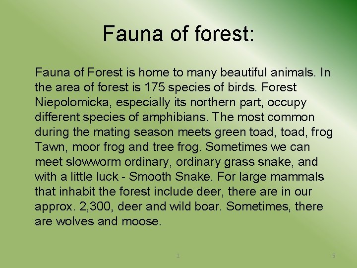 Fauna of forest: Fauna of Forest is home to many beautiful animals. In the