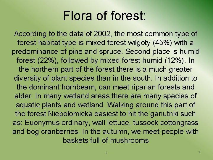 Flora of forest: According to the data of 2002, the most common type of