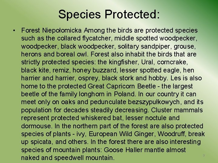 Species Protected: • Forest Niepołomicka Among the birds are protected species such as the