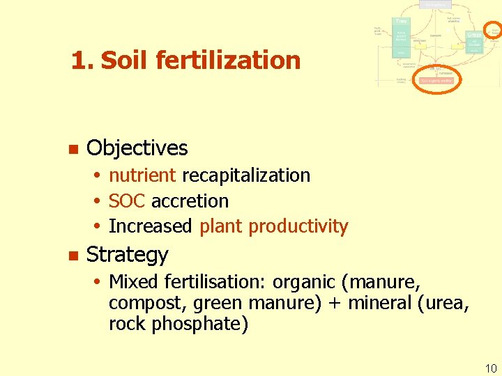 1. Soil fertilization n Objectives nutrient recapitalization SOC accretion Increased plant productivity n Strategy