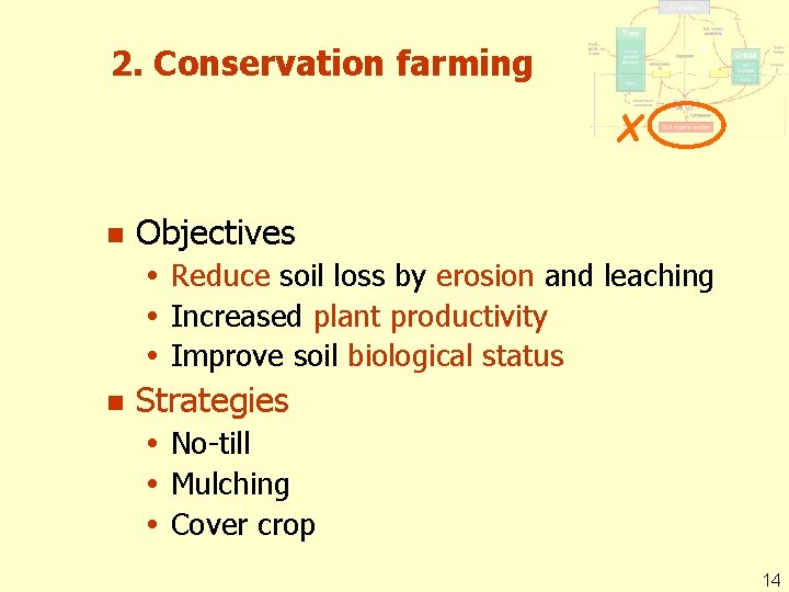 2. Conservation farming n Objectives Reduce soil loss by erosion and leaching Increased plant