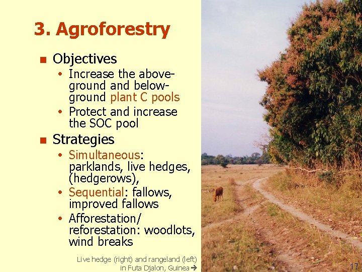 3. Agroforestry n Objectives Increase the aboveground and belowground plant C pools Protect and