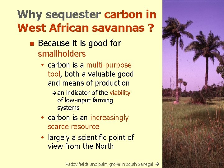 Why sequester carbon in West African savannas ? n Because it is good for