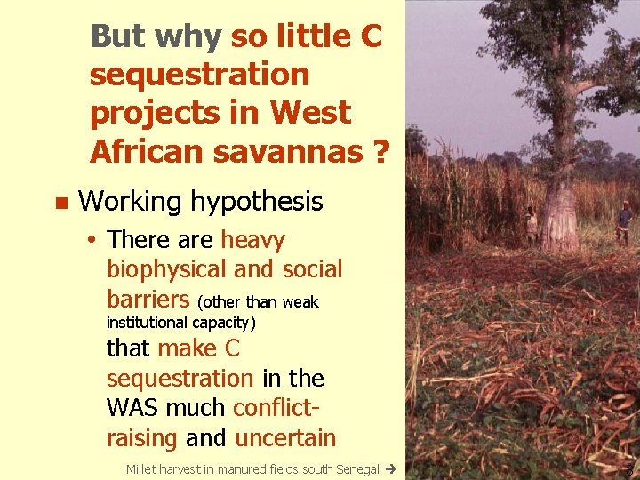 But why so little C sequestration projects in West African savannas ? n Working