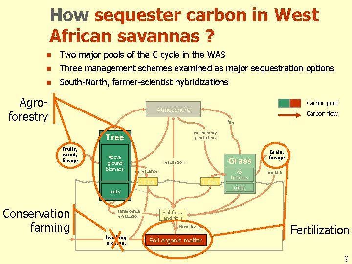 How sequester carbon in West African savannas ? n Two major pools of the