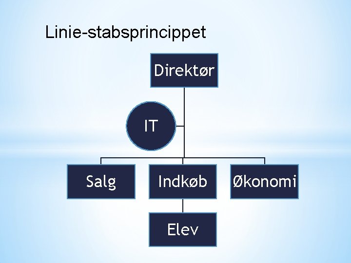 Linie-stabsprincippet Direktør IT Salg Indkøb Elev Økonomi 
