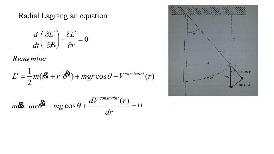Radial Lagrangian equation 