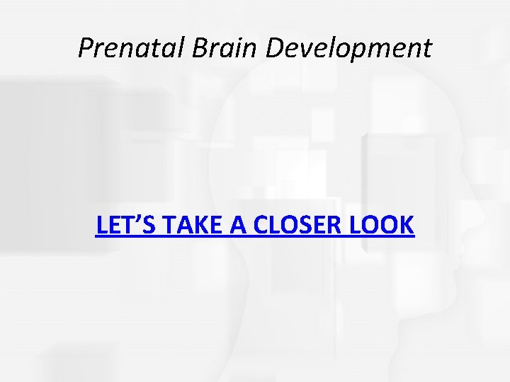 Prenatal Brain Development LET’S TAKE A CLOSER LOOK 