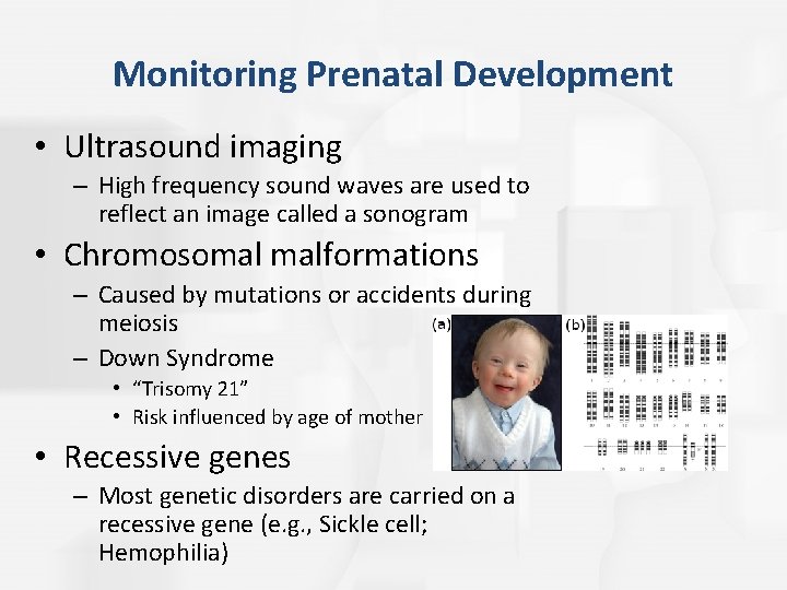 Monitoring Prenatal Development • Ultrasound imaging – High frequency sound waves are used to