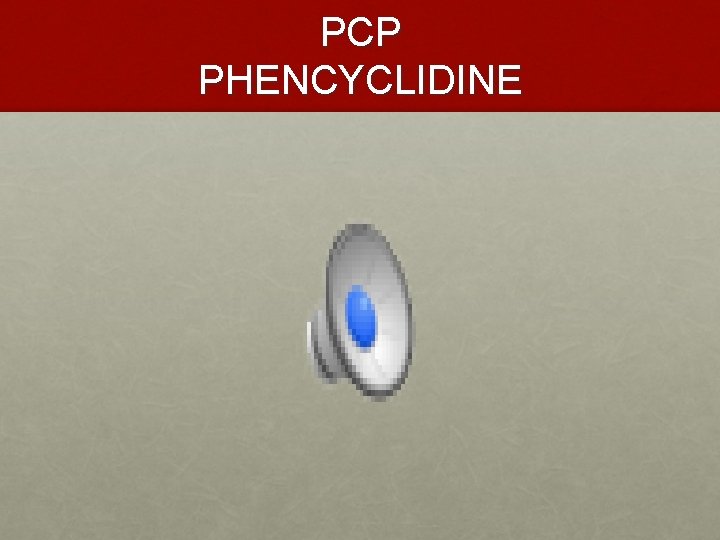 PCP PHENCYCLIDINE 