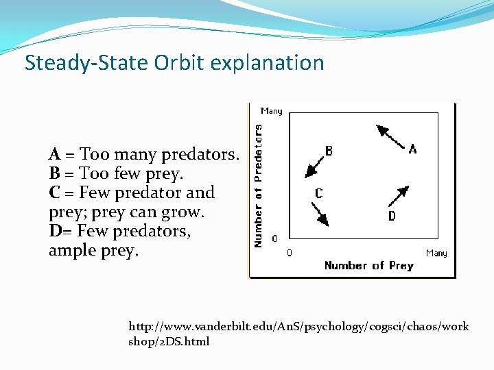 Steady-State Orbit explanation A = Too many predators. B = Too few prey. C