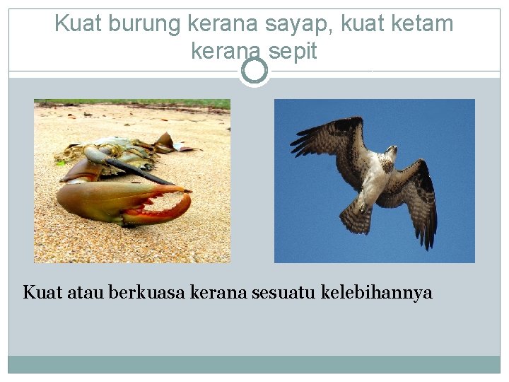 Kuat burung kerana sayap, kuat ketam kerana sepit Kuat atau berkuasa kerana sesuatu kelebihannya