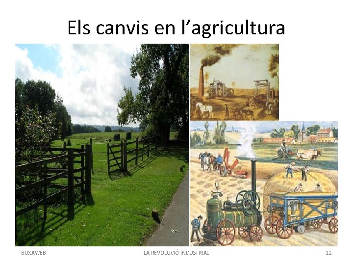 Els canvis en l’agricultura BUXAWEB LA REVOLUCIÓ INDUSTRIAL 11 