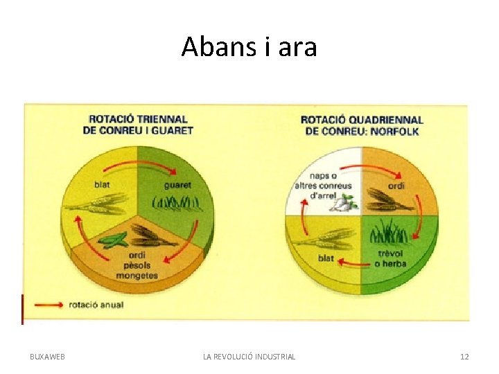 Abans i ara BUXAWEB LA REVOLUCIÓ INDUSTRIAL 12 