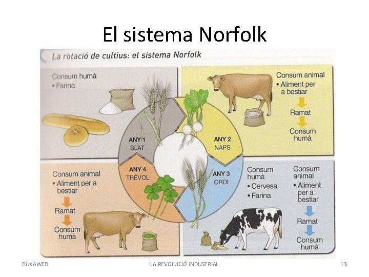 El sistema Norfolk BUXAWEB LA REVOLUCIÓ INDUSTRIAL 13 