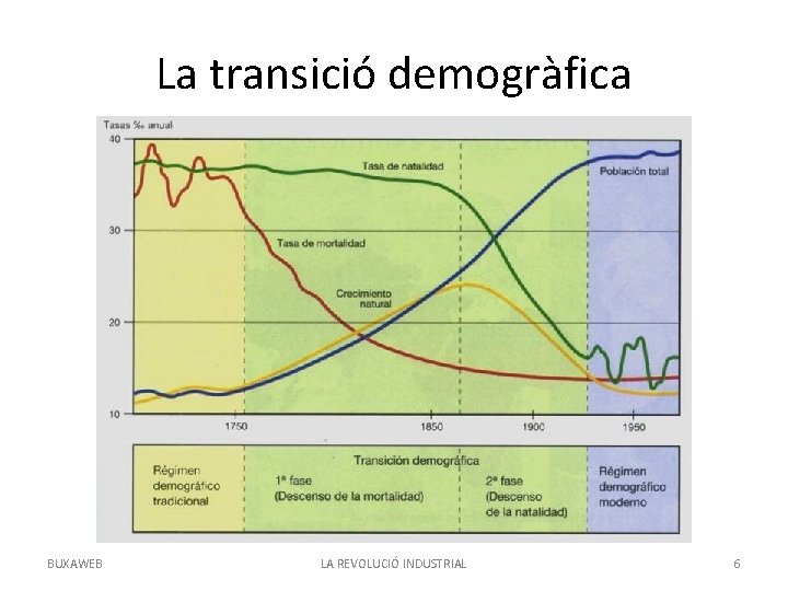 La transició demogràfica BUXAWEB LA REVOLUCIÓ INDUSTRIAL 6 