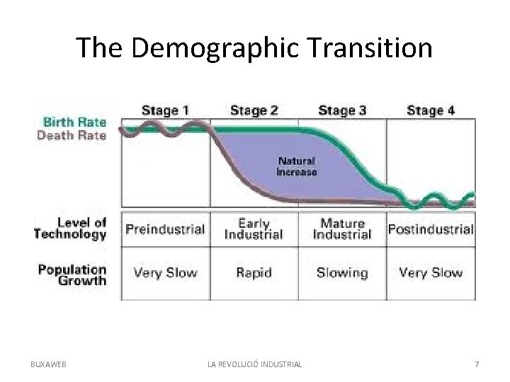 The Demographic Transition BUXAWEB LA REVOLUCIÓ INDUSTRIAL 7 
