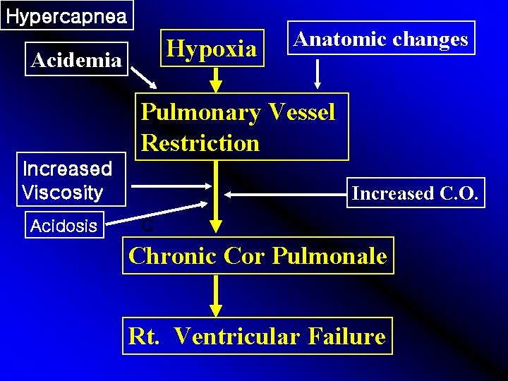 Hypercapnea H Hypoxia Acidemia Anatomic changes A Pulmonary Vessel Restriction Increased Viscosity Acidosis Increased