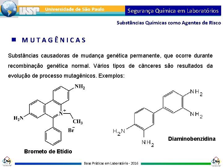 Segurança Química em Laboratórios Substâncias Químicas como Agentes de Risco MUTAGÊNICAS Substâncias causadoras de