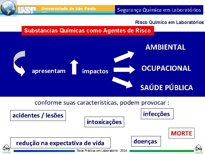 Segurança Química em Laboratórios Risco Químico em Laboratórios Substâncias Químicas como Agentes de Risco