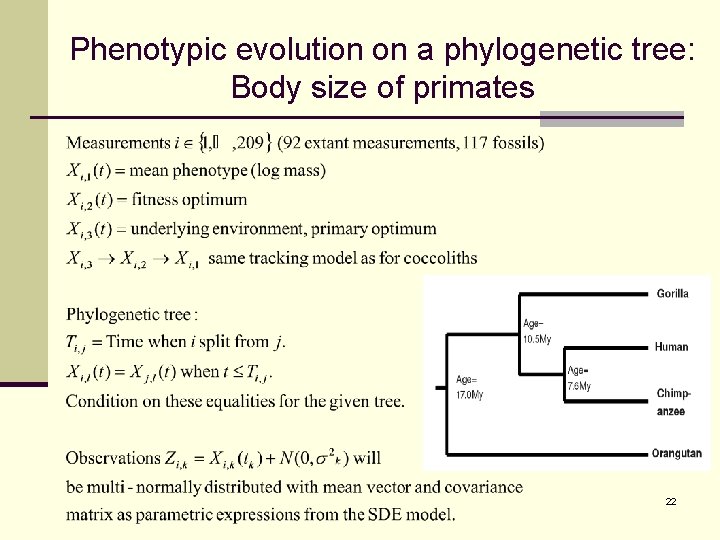 Phenotypic evolution on a phylogenetic tree: Body size of primates 22 